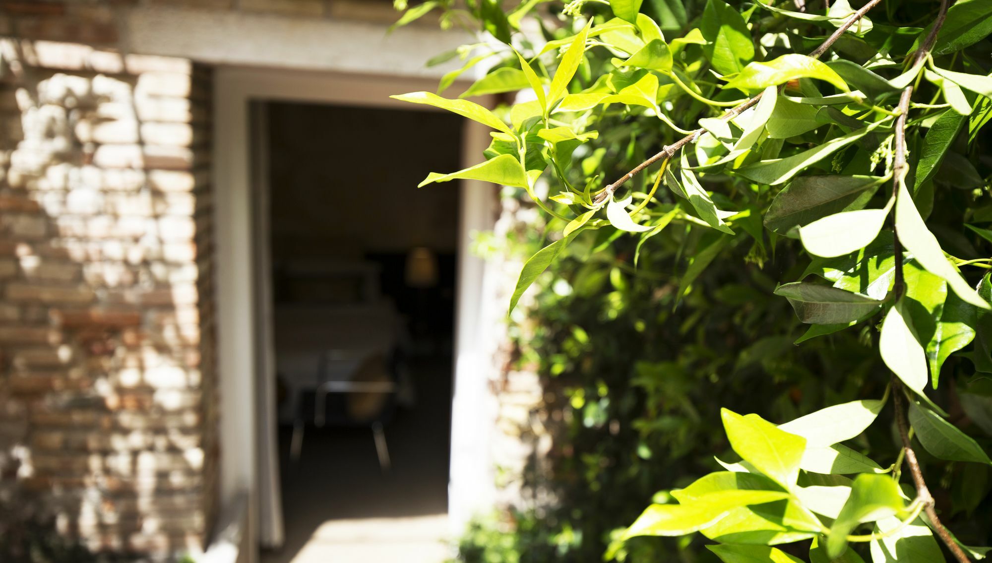 Avogaria 5 Rooms เวนิส ภายนอก รูปภาพ